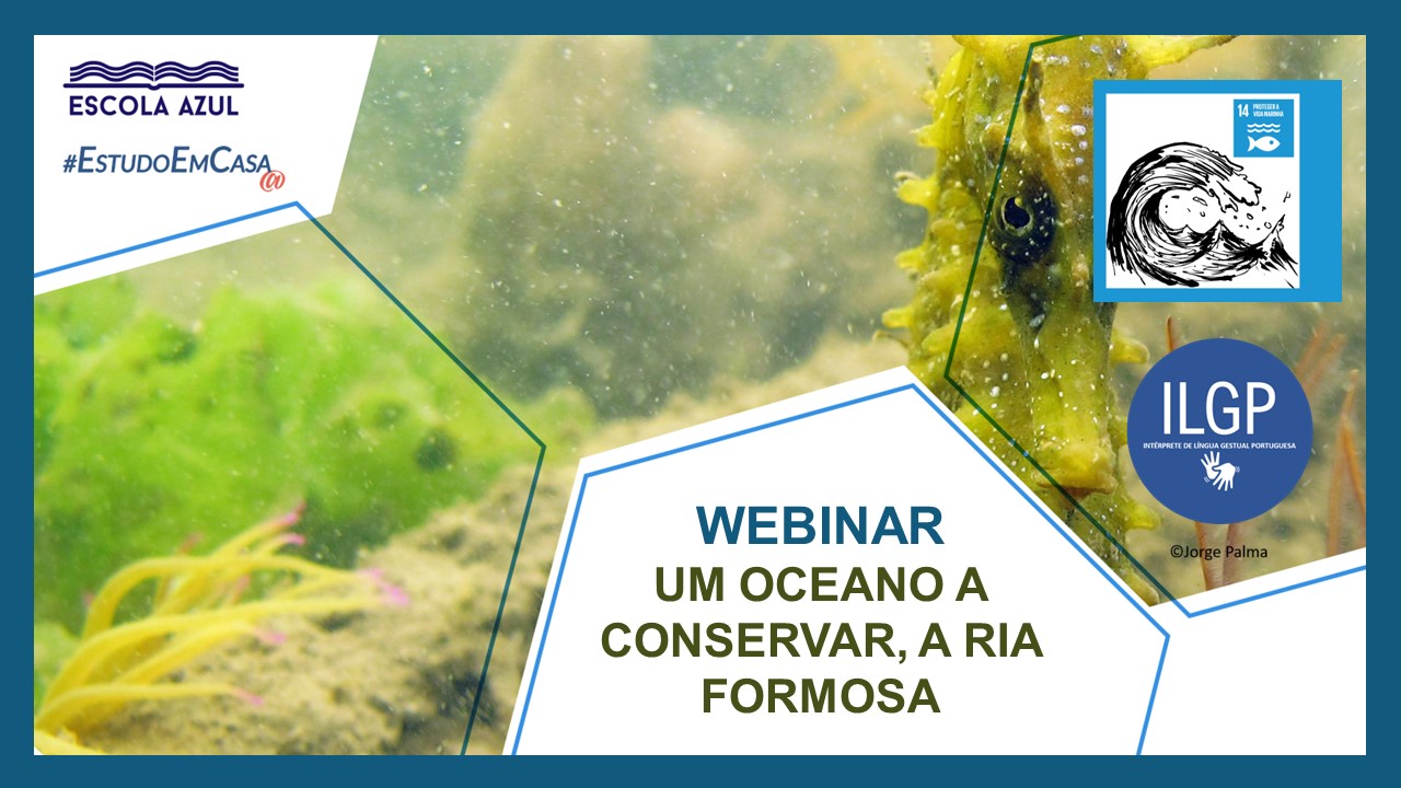 Webinar: Um Oceano a conservar, a Ria Formosa | #EstudoemCasa@