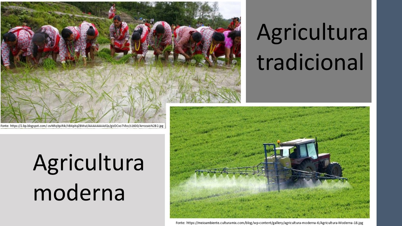 agricultura moderna