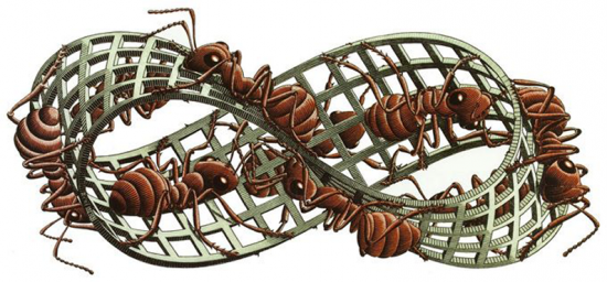 Mobius Strip II, por M. C. Escher, 1963  fonte nga.org
