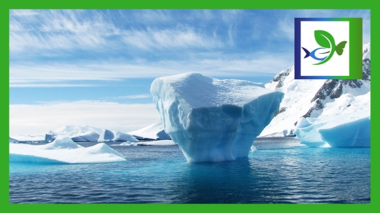 imagem ilustrativa antártida