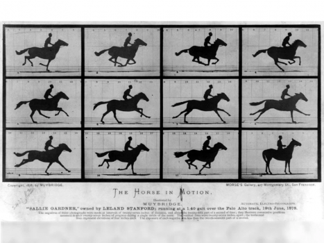 Eadweard Muybridge, O Cavalo em movimento, 1878